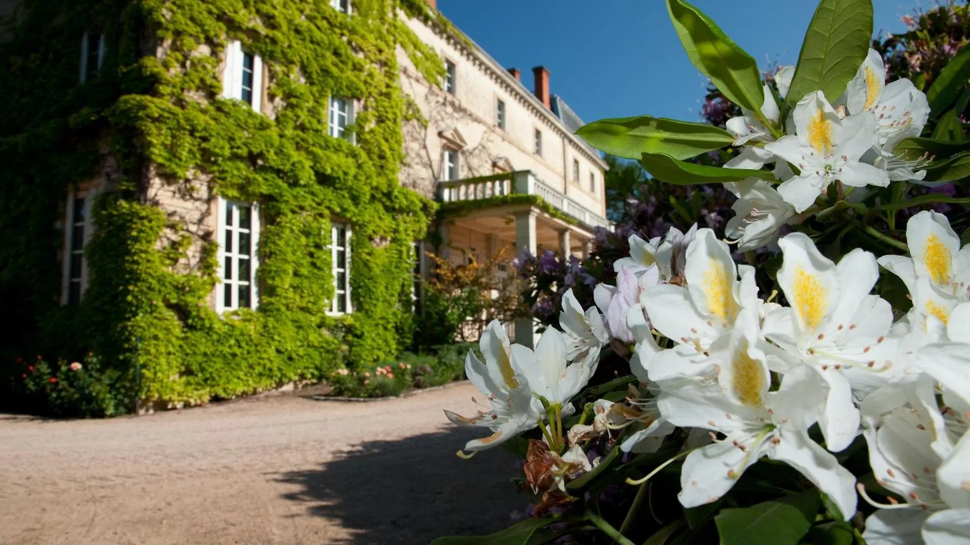 Chateau De Bellevue B&B Villie-Morgon France