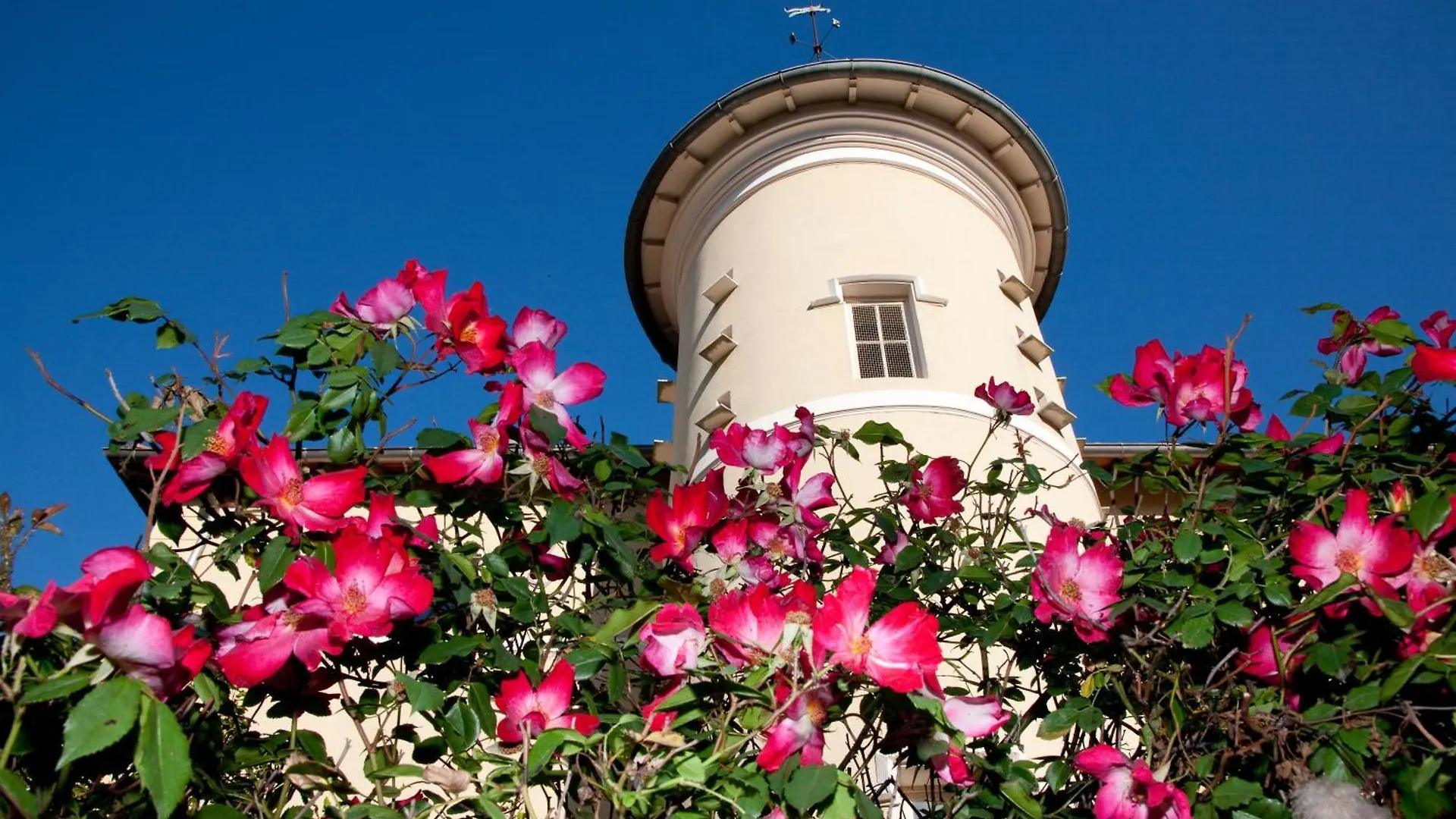 Chateau De Bellevue B&B Villie-Morgon Bed & Breakfast